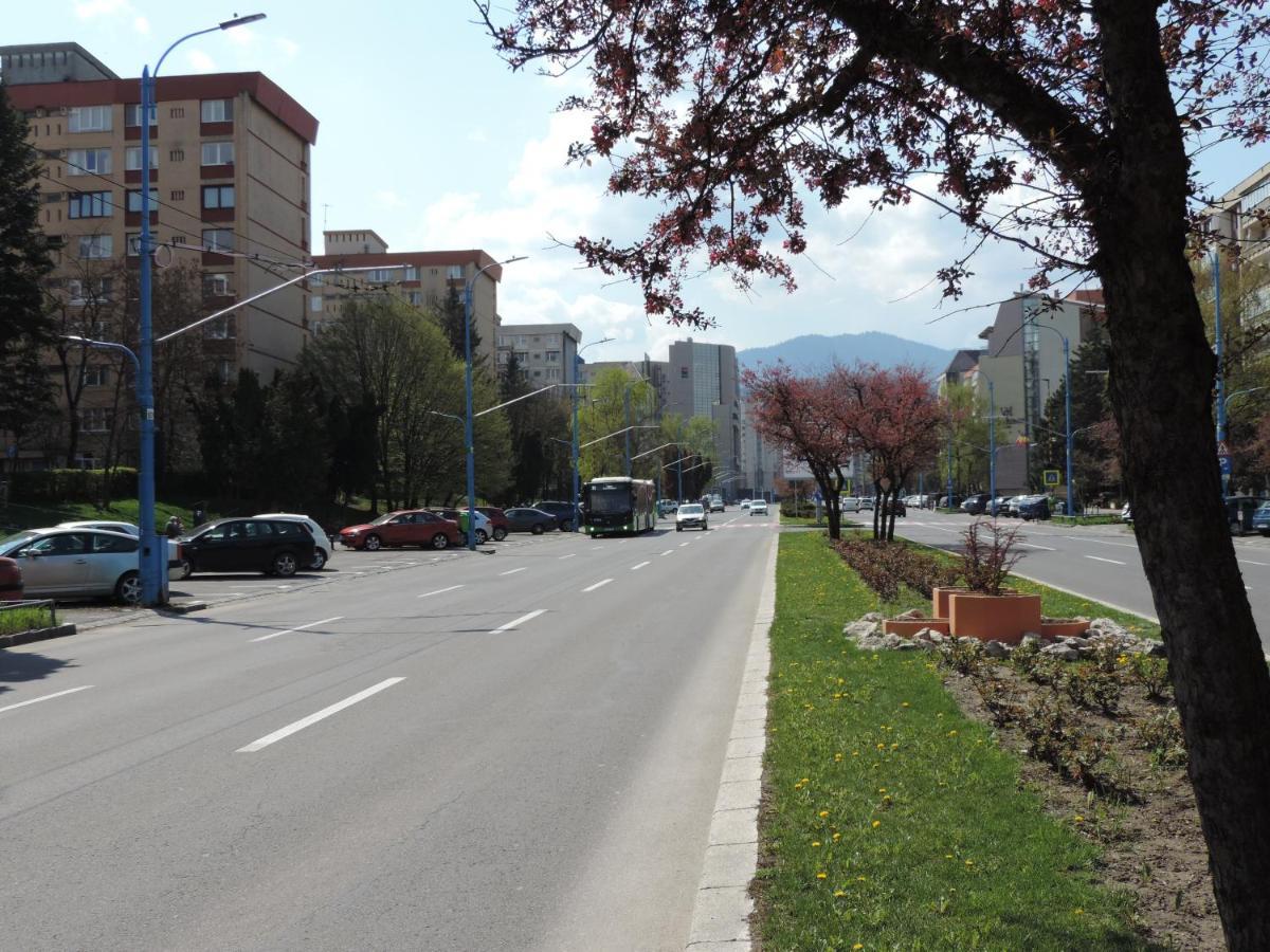 Victoriei Boulevard Private Appartamento