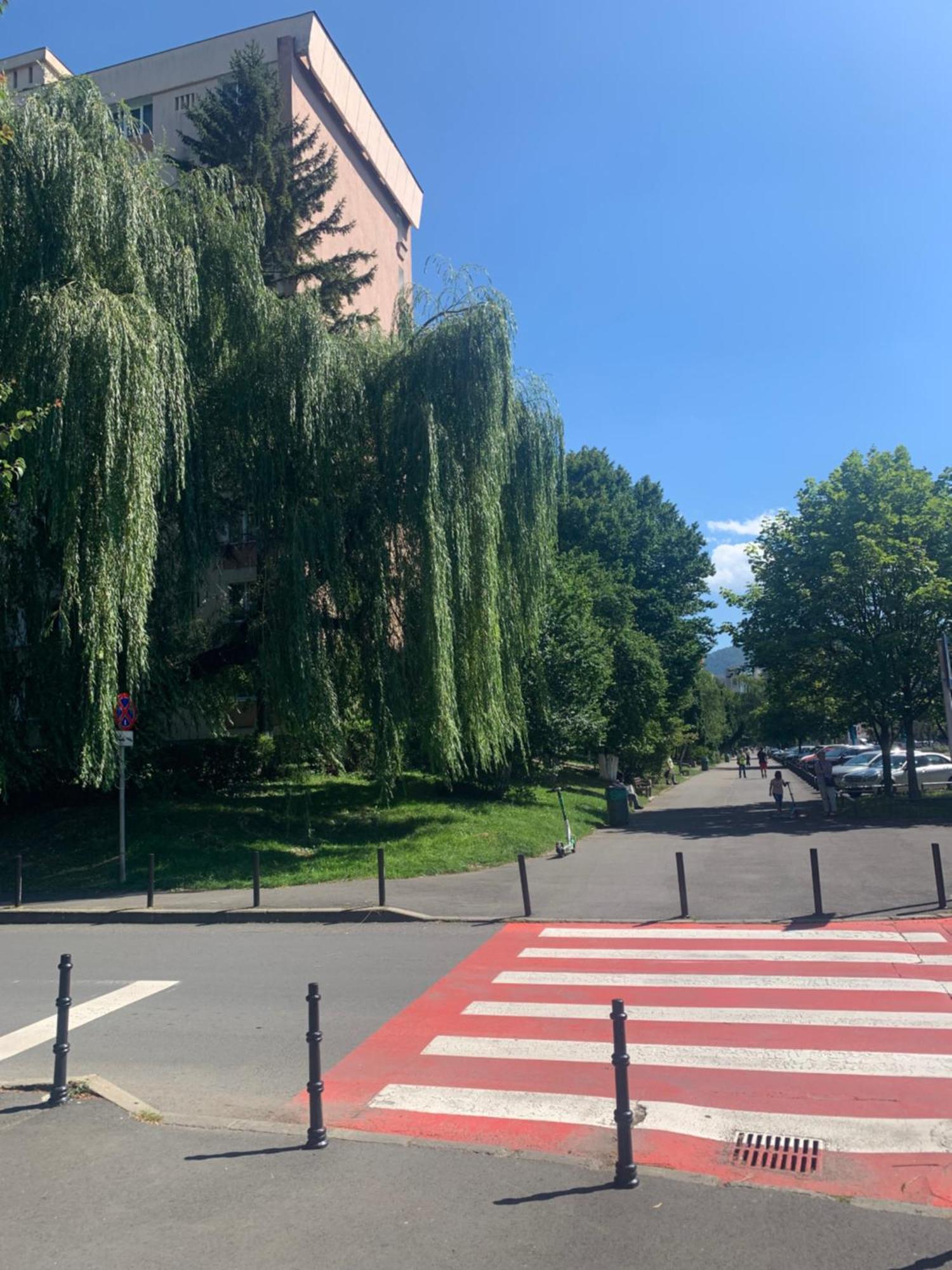 Victoriei Boulevard Private Appartamento Braşov