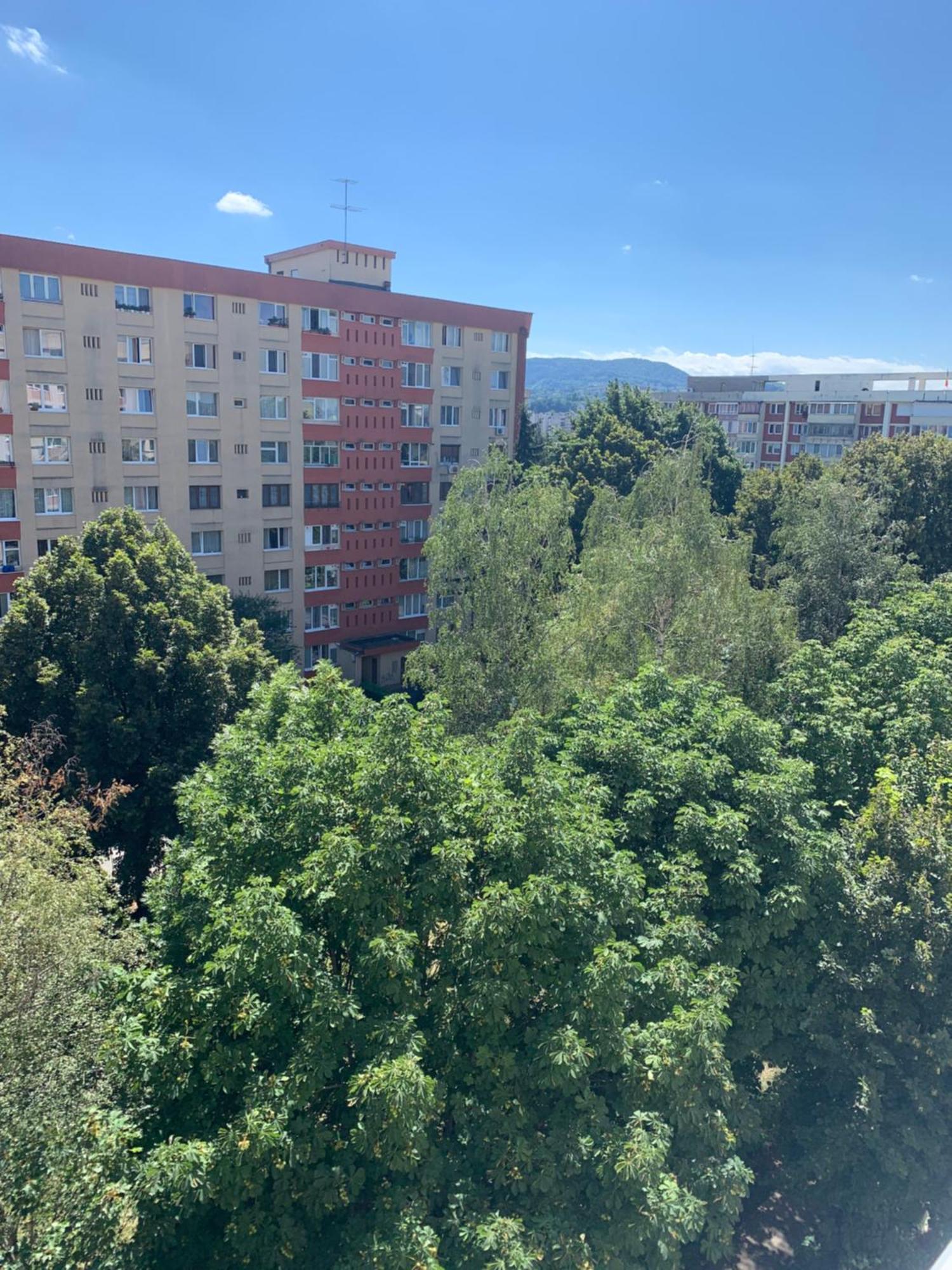 Victoriei Boulevard Private Appartamento *